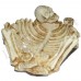 Resin Skeleton Ashtray For Home 