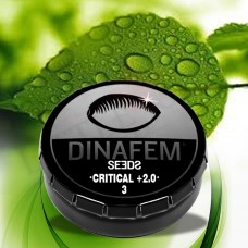 Dinafem Feminised Seeds Critical + 2.0 Pack of 3