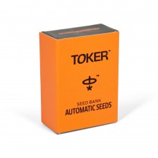 Toker Autoflowering Cream Mandarine Seeds Pack of 25