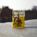 6.4 cm Air Free Glass Jar Stay Trippy Sticker